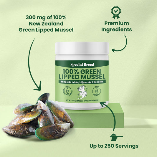 Green Lipped Mussel Powder – Special Breed