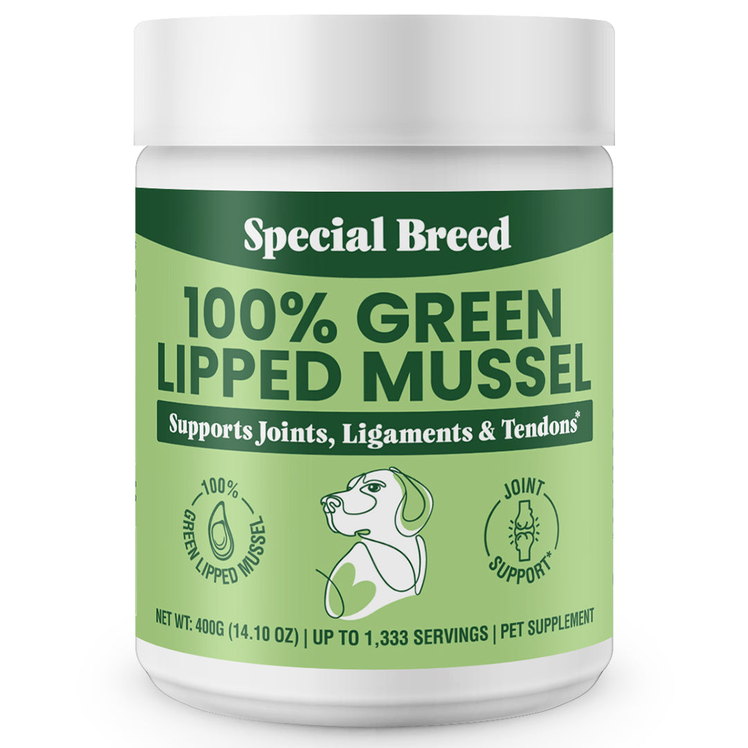 Green Lipped Mussel Powder - 400g – Special Breed