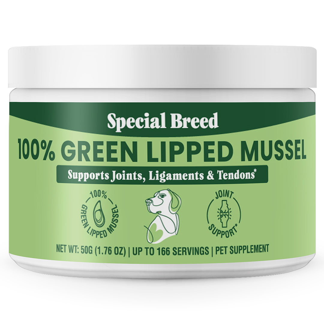 Green Lipped Mussel Powder - 50g – Special Breed