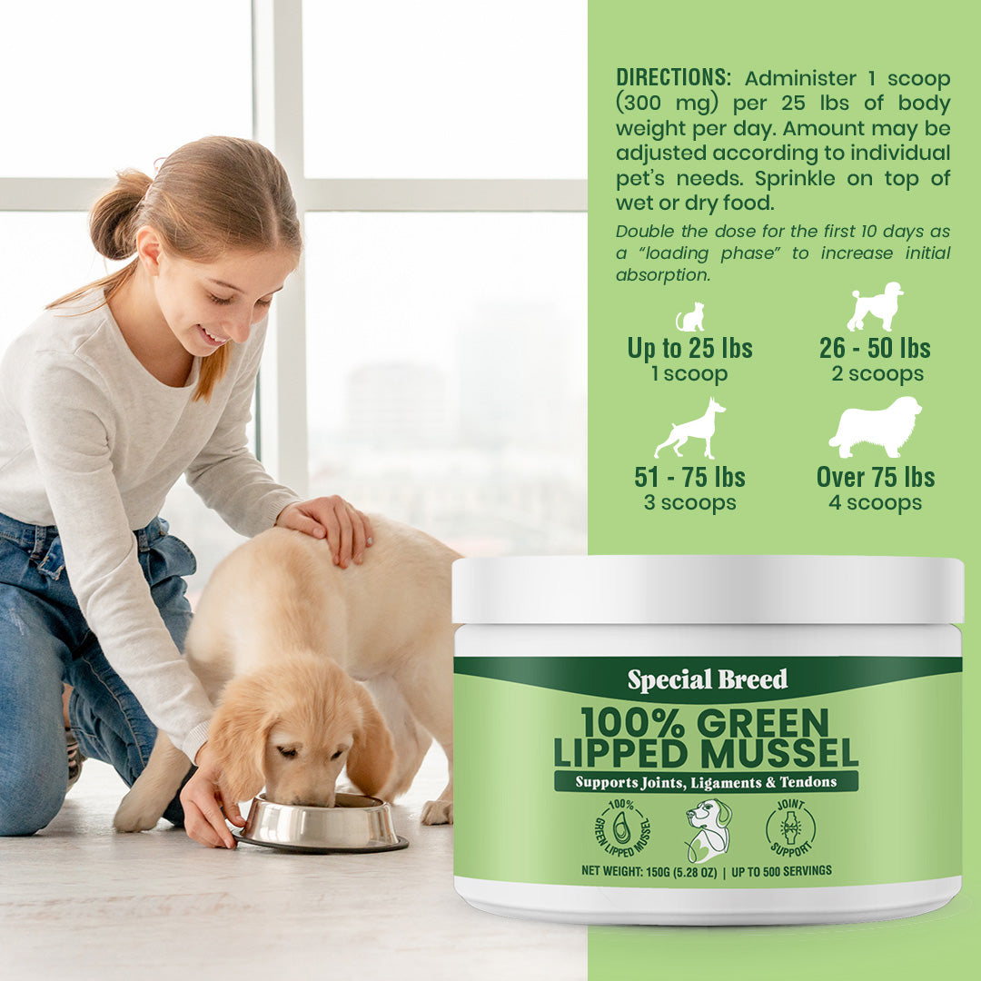 Green powder for dogs best sale