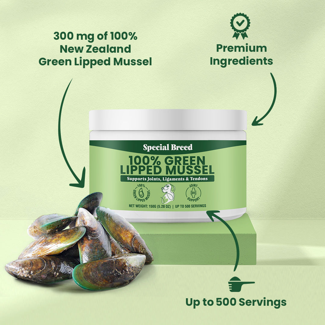 Green Lipped Mussel Powder 150g Special Breed