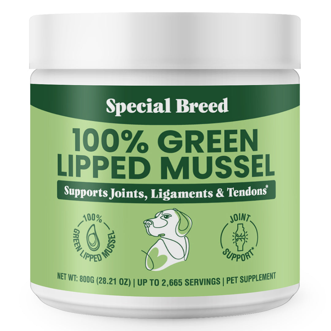 Green Lipped Mussel Powder - 800g – Special Breed