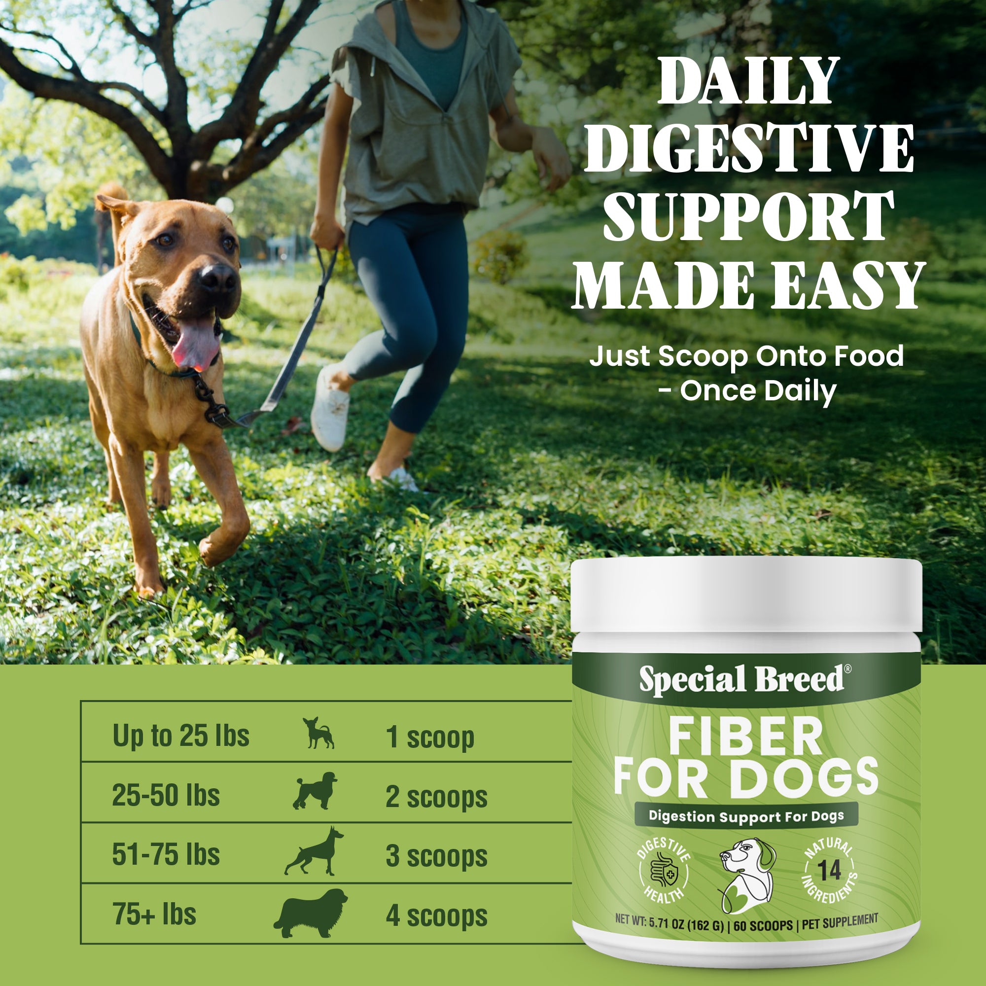 Fiber Powder For Dogs