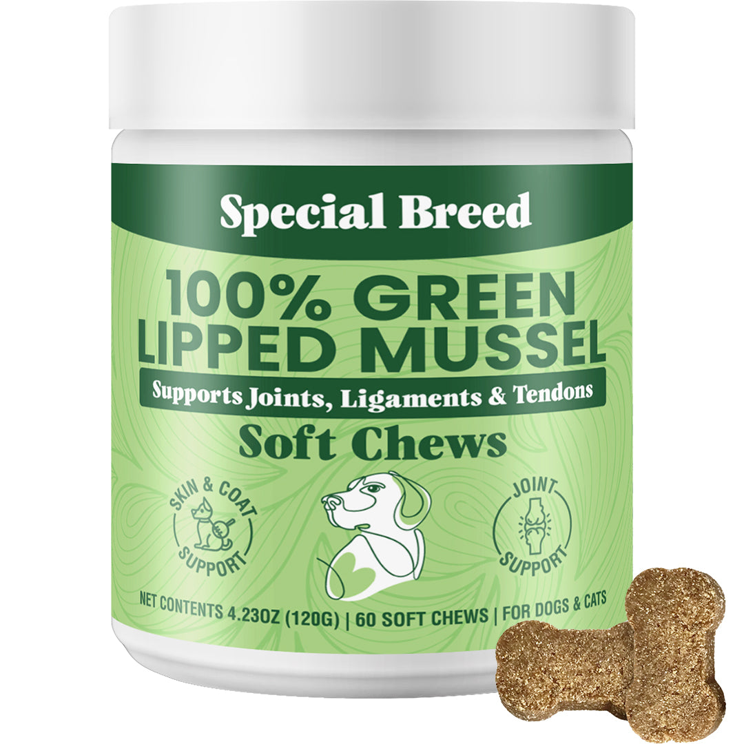 Green Lipped Mussel Soft Chews - 60 Chews