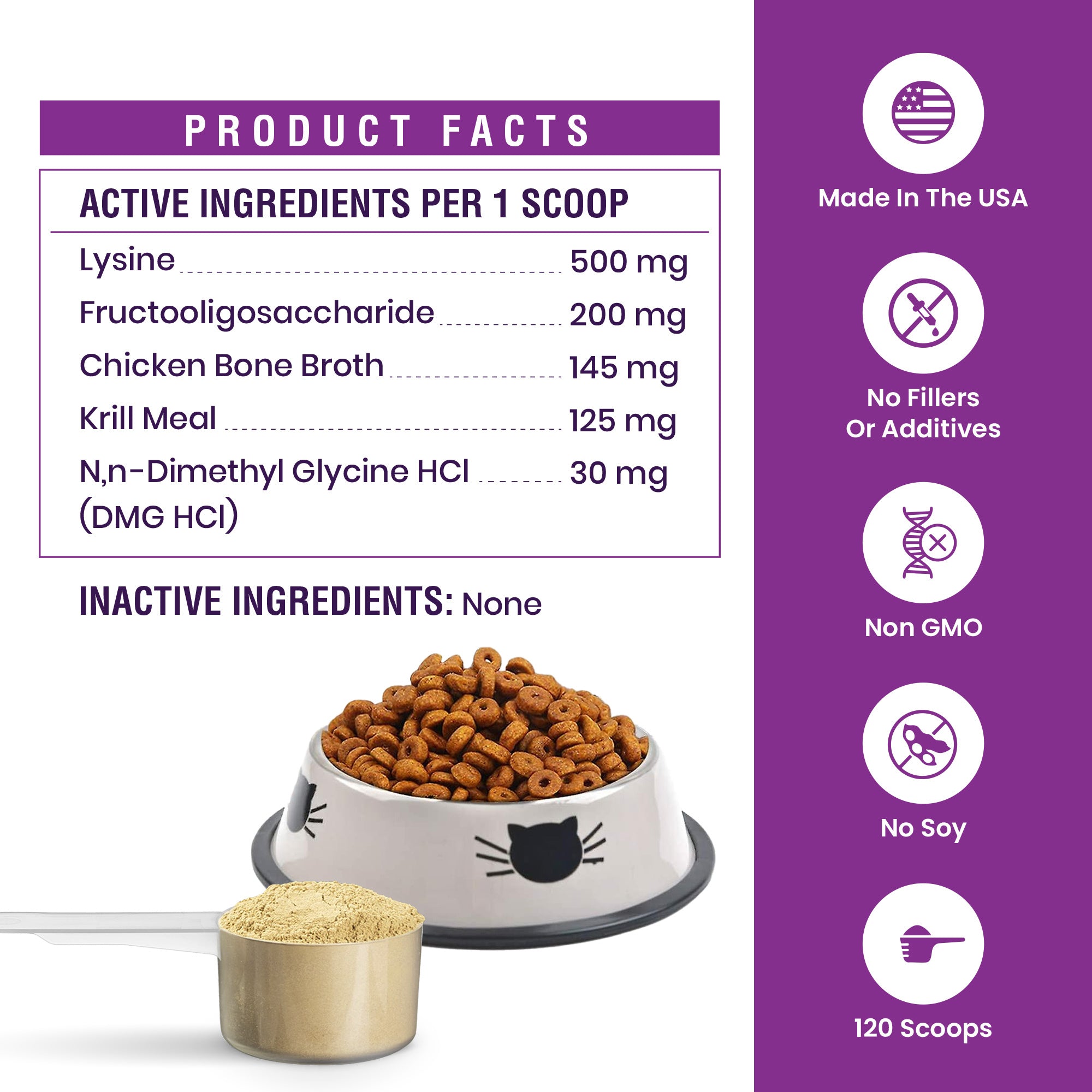 Lysine Powder