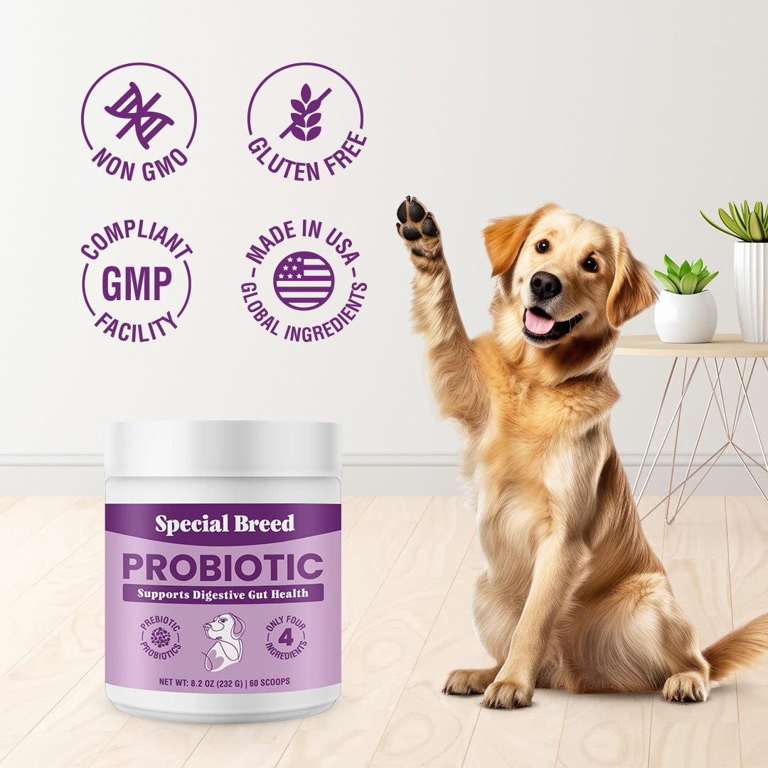 Probiotic Powder 8.2oz