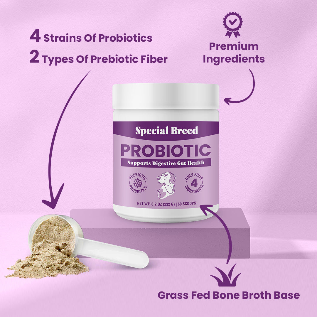 Probiotic Powder 8.2oz