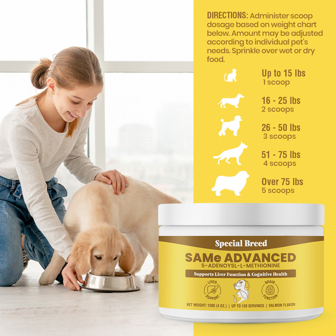 SAMe for Dogs - 120g