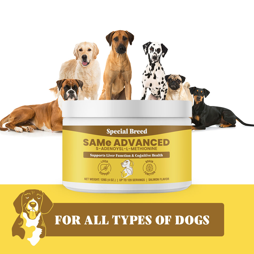 SAMe for Dogs - 120g