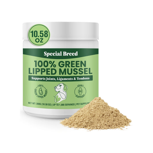 Green Lipped Mussel Powder – Special Breed