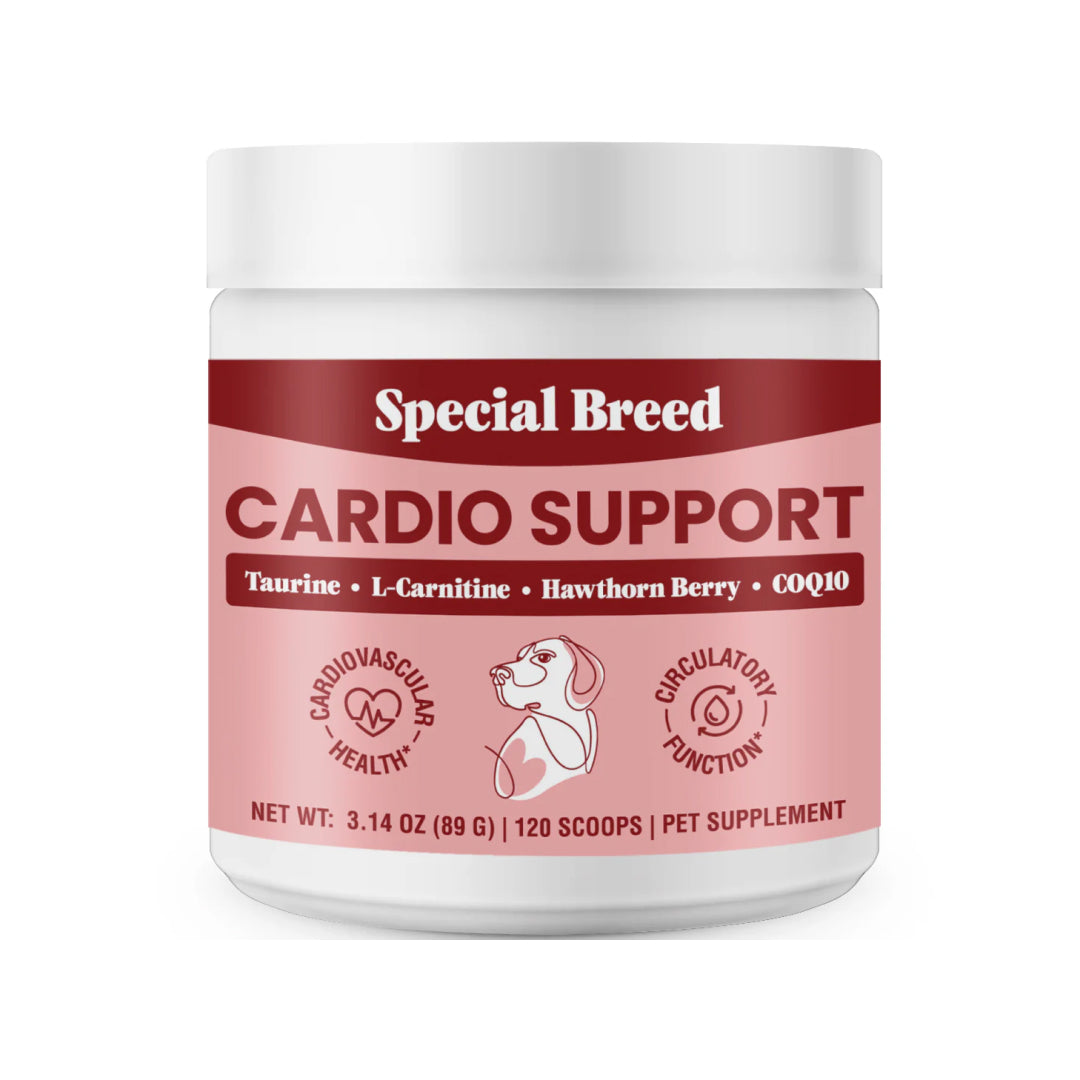 Cardio Support