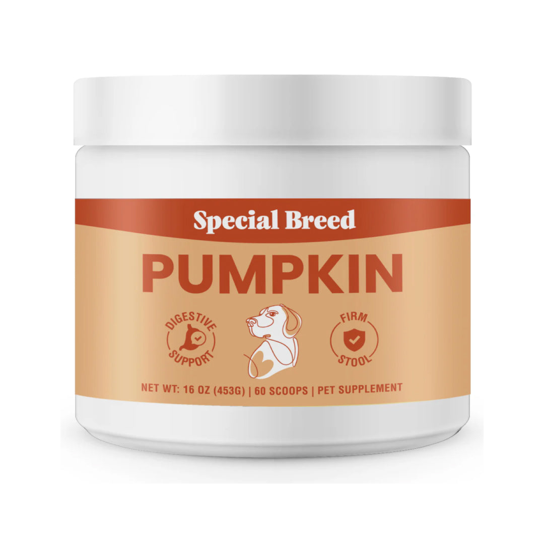 Organic Pumpkin Powder 16oz Powder