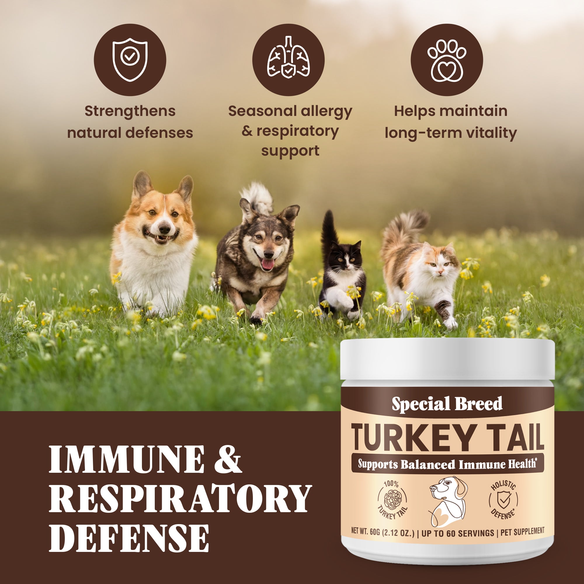 Organic Turkey Tail Powder - 2.12oz