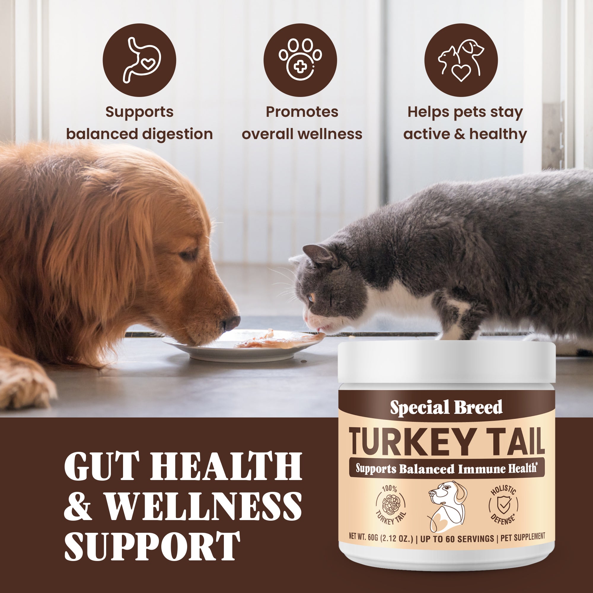 Organic Turkey Tail Powder - 2.12oz