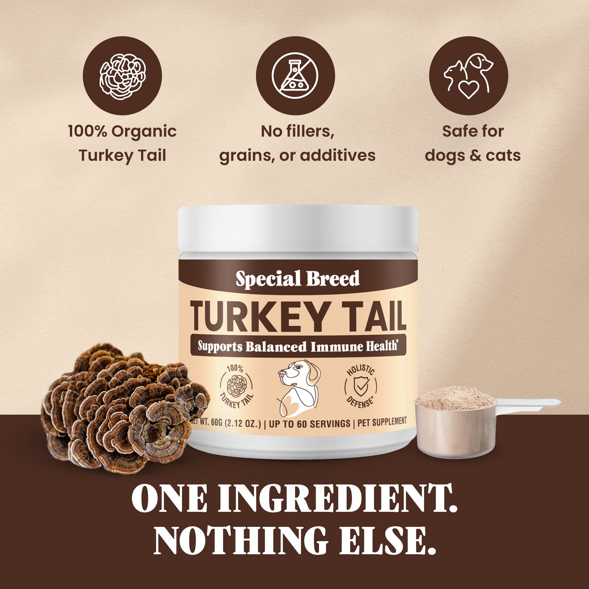 Organic Turkey Tail Powder - 2.12oz