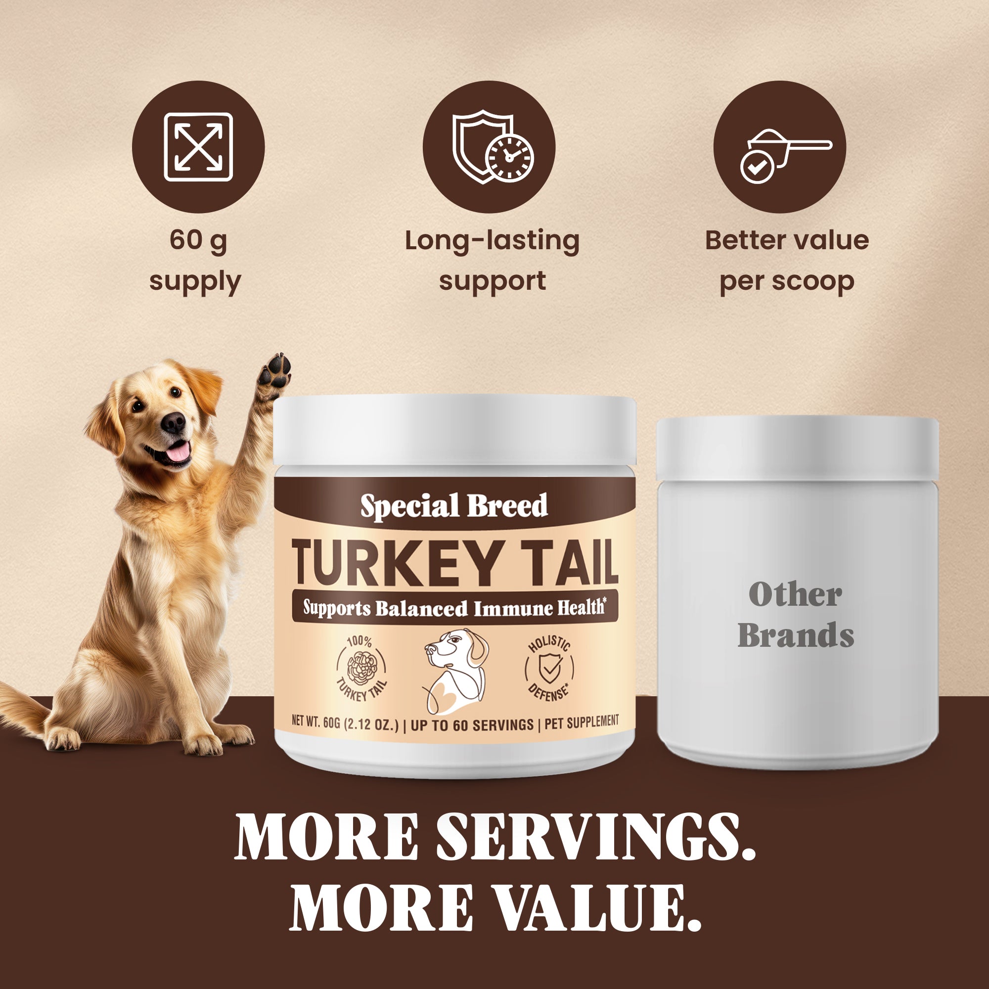 Organic Turkey Tail Powder - 2.12oz