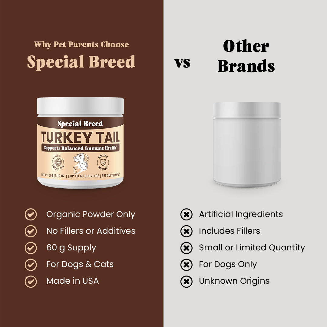 Organic Turkey Tail Powder - 2.12oz