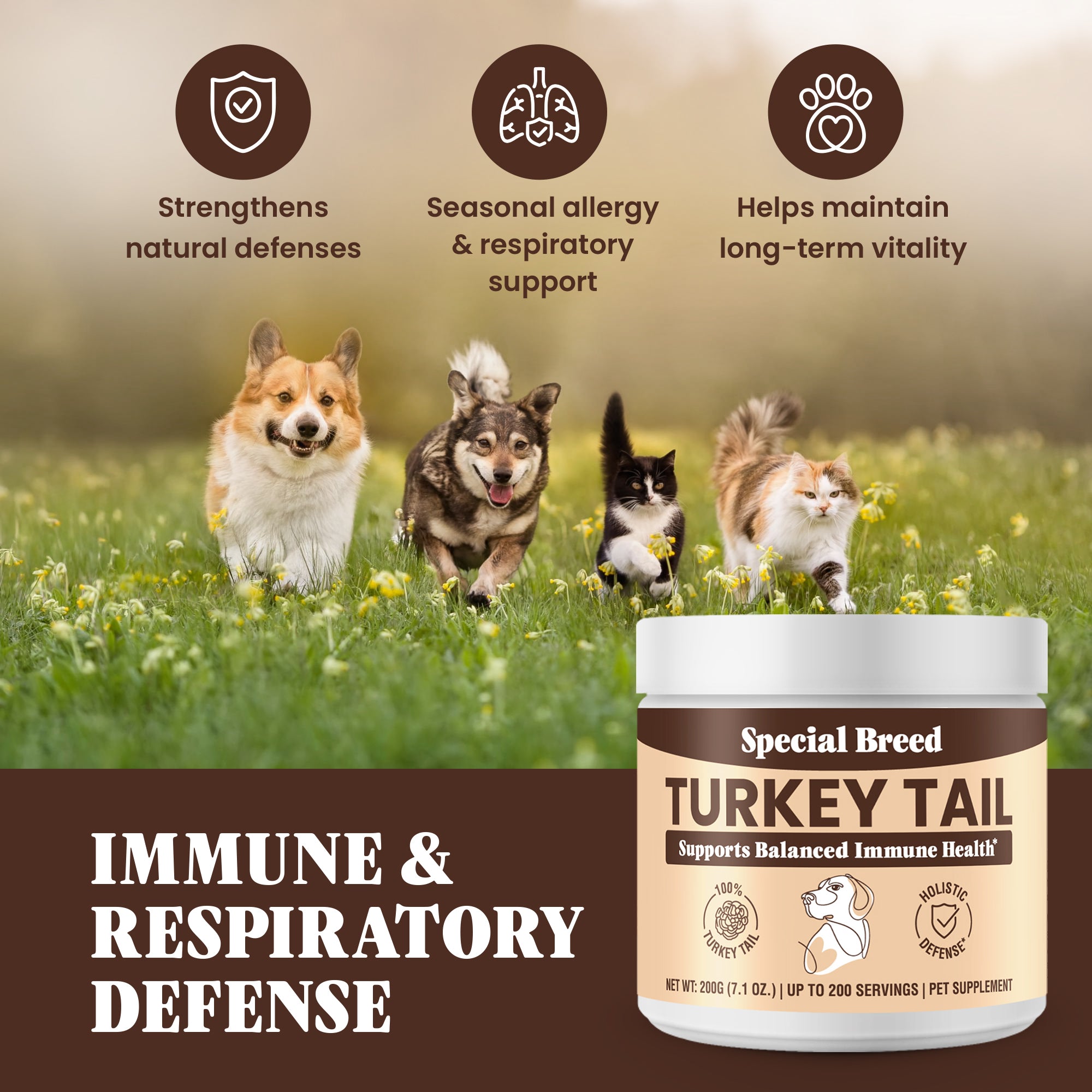 Organic Turkey Tail Powder - 7.1oz