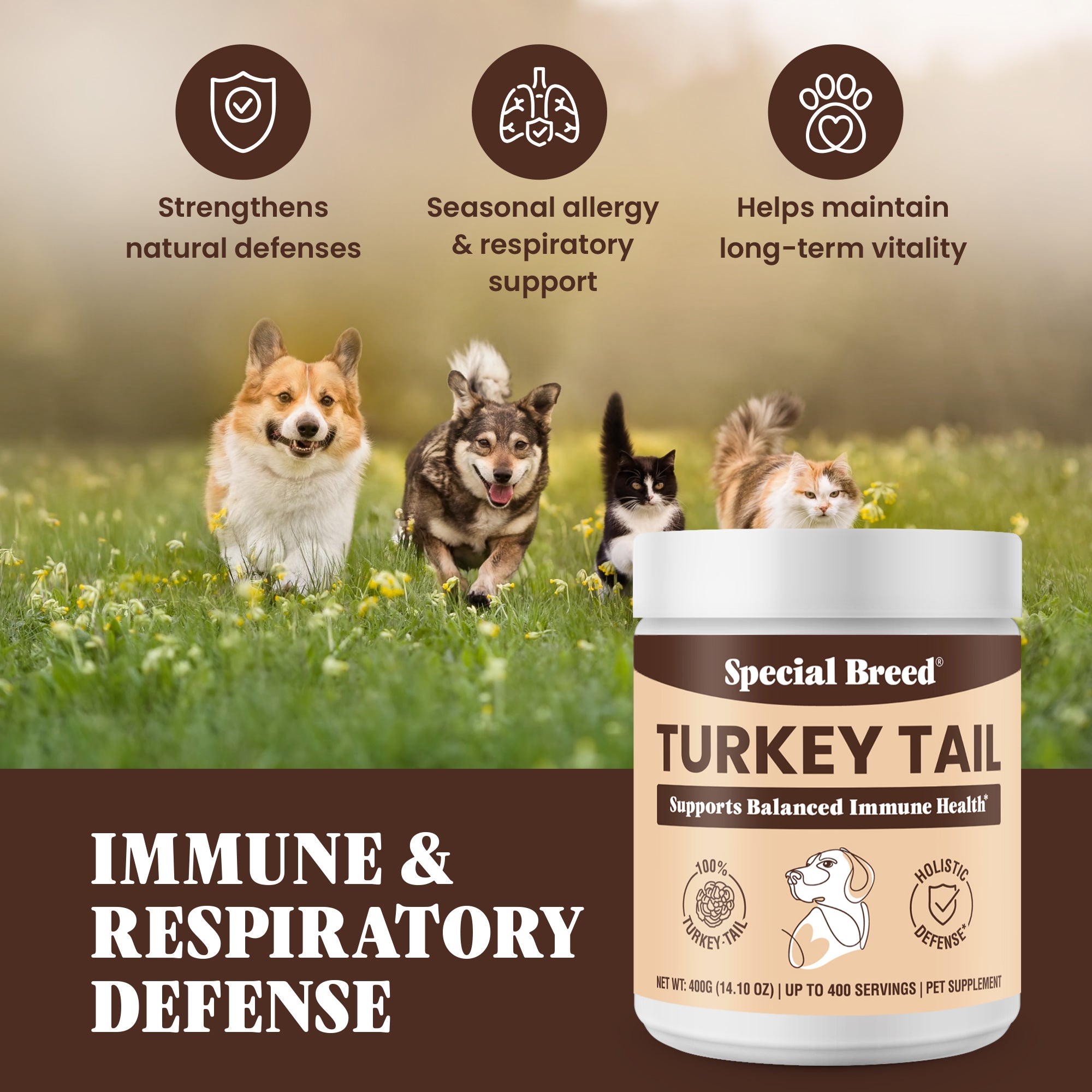 Organic Turkey Tail Powder - 14.10oz