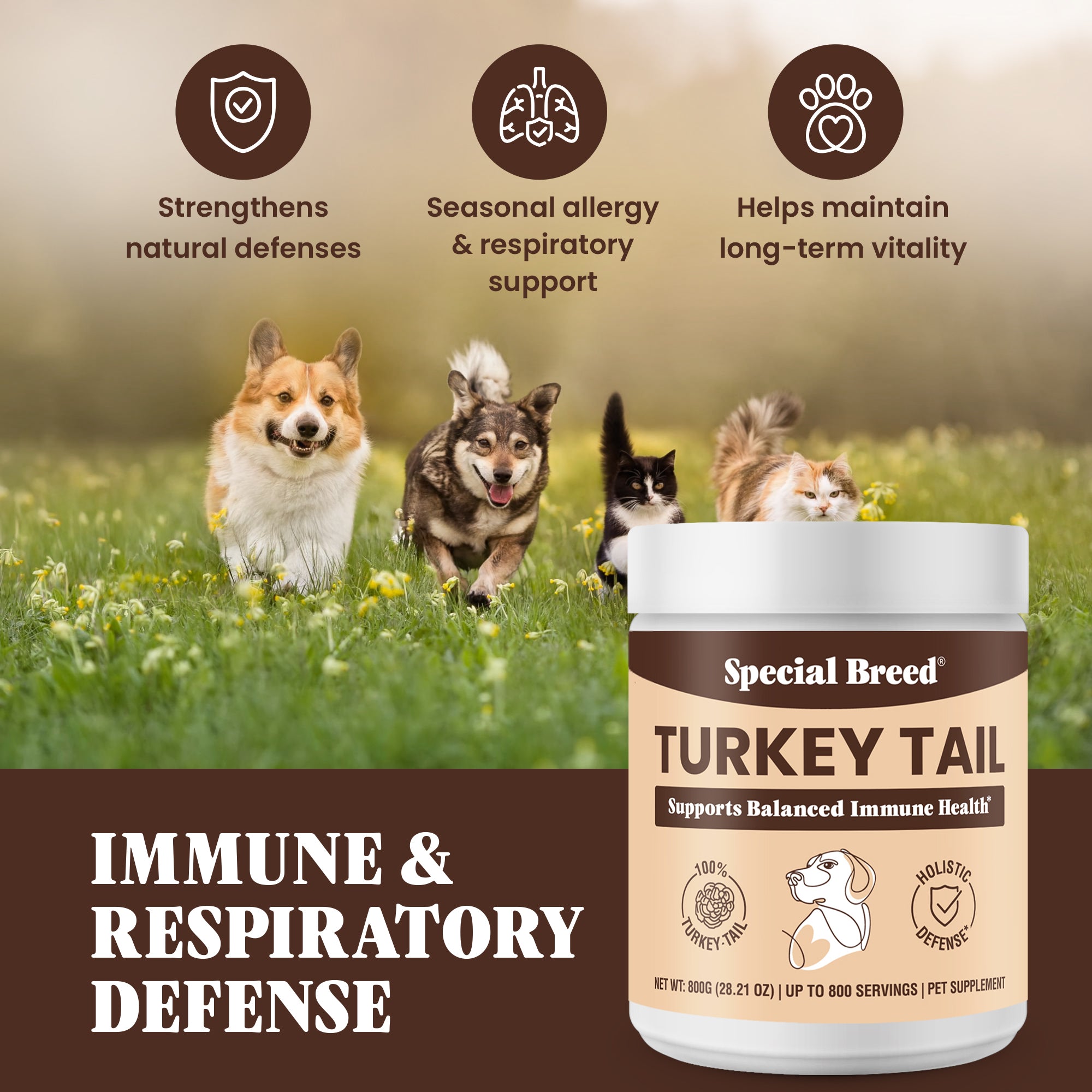 Organic Turkey Tail Powder - 28.21oz