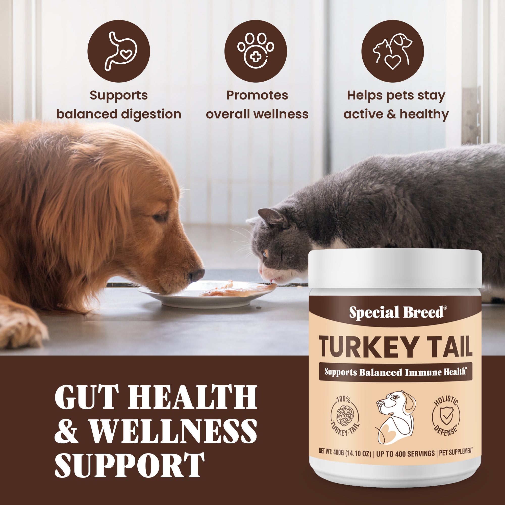Organic Turkey Tail Powder - 14.10oz