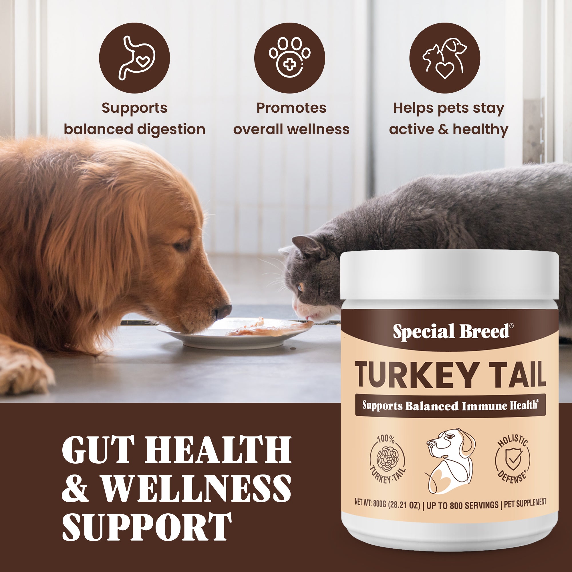 Organic Turkey Tail Powder - 28.21oz