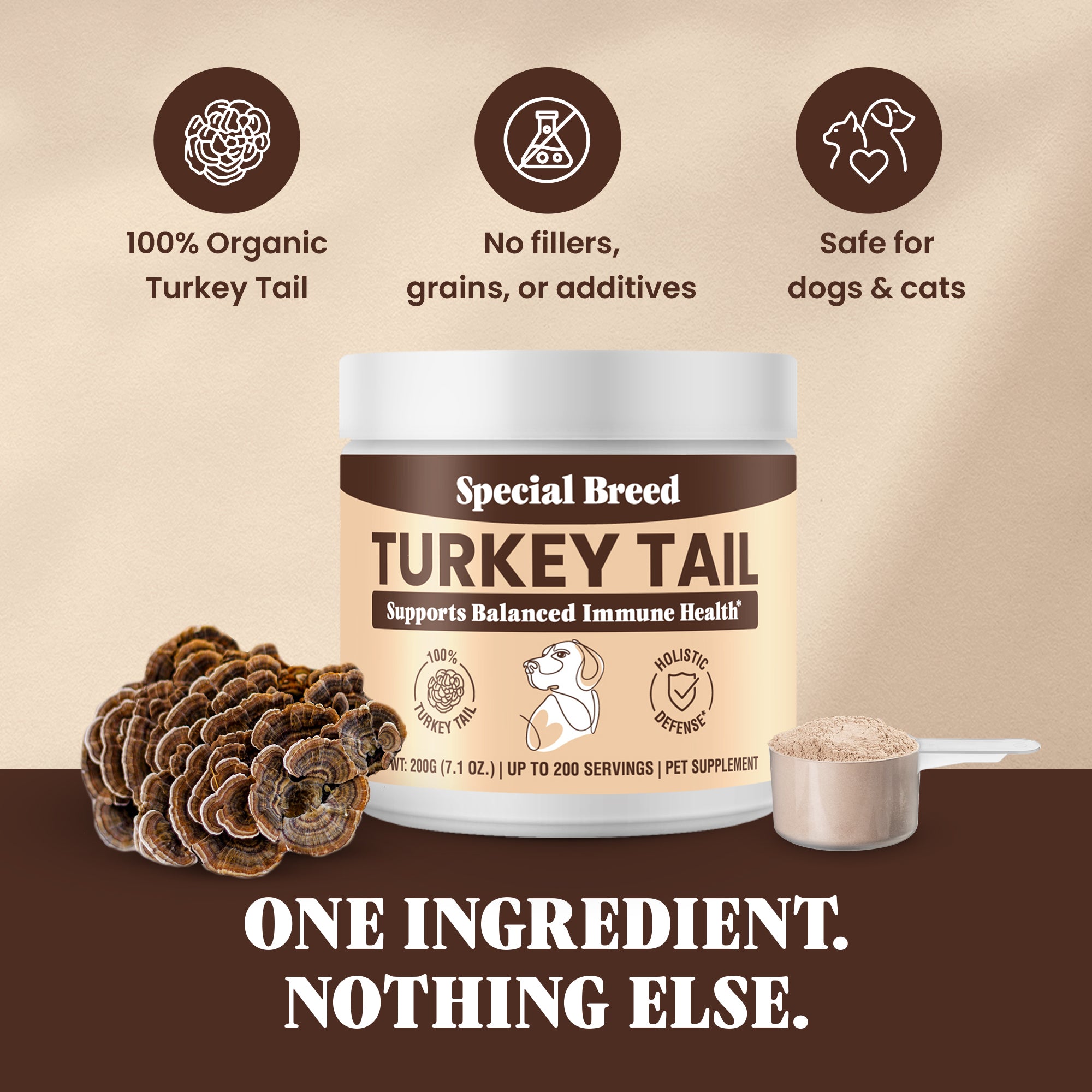 Organic Turkey Tail Powder - 7.1oz