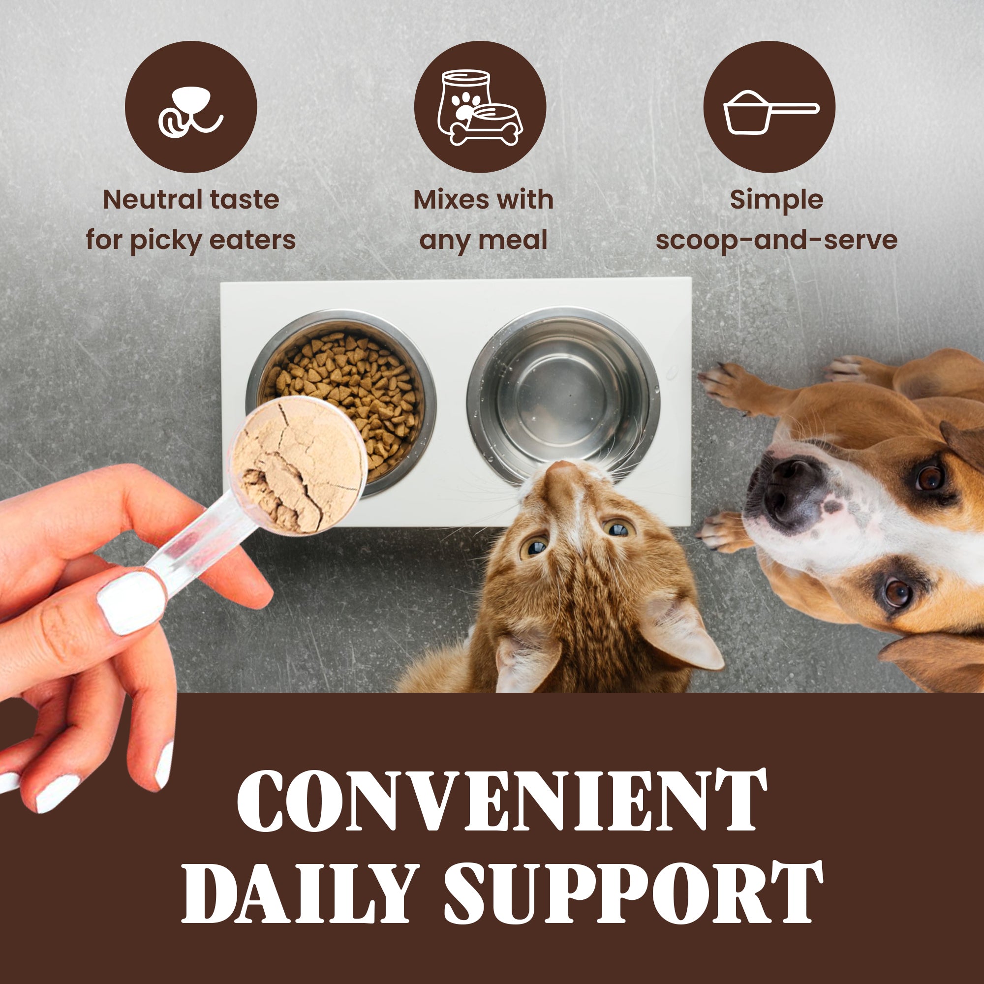 Organic Turkey Tail Powder - 7.1oz