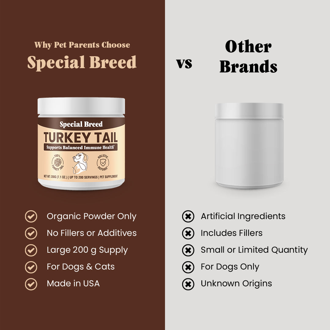 Organic Turkey Tail Powder - 7.1oz