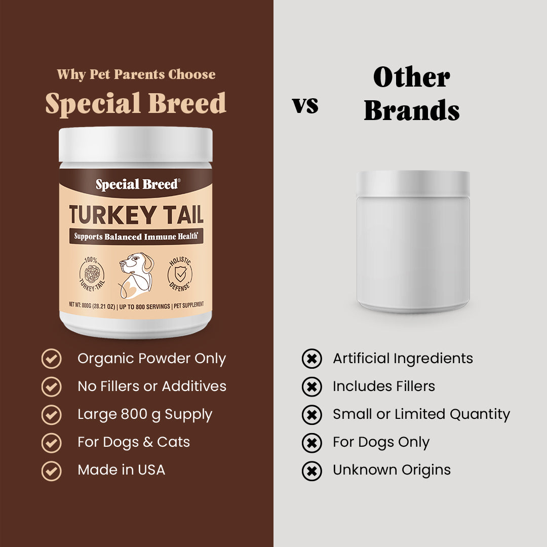 Organic Turkey Tail Powder - 28.21oz