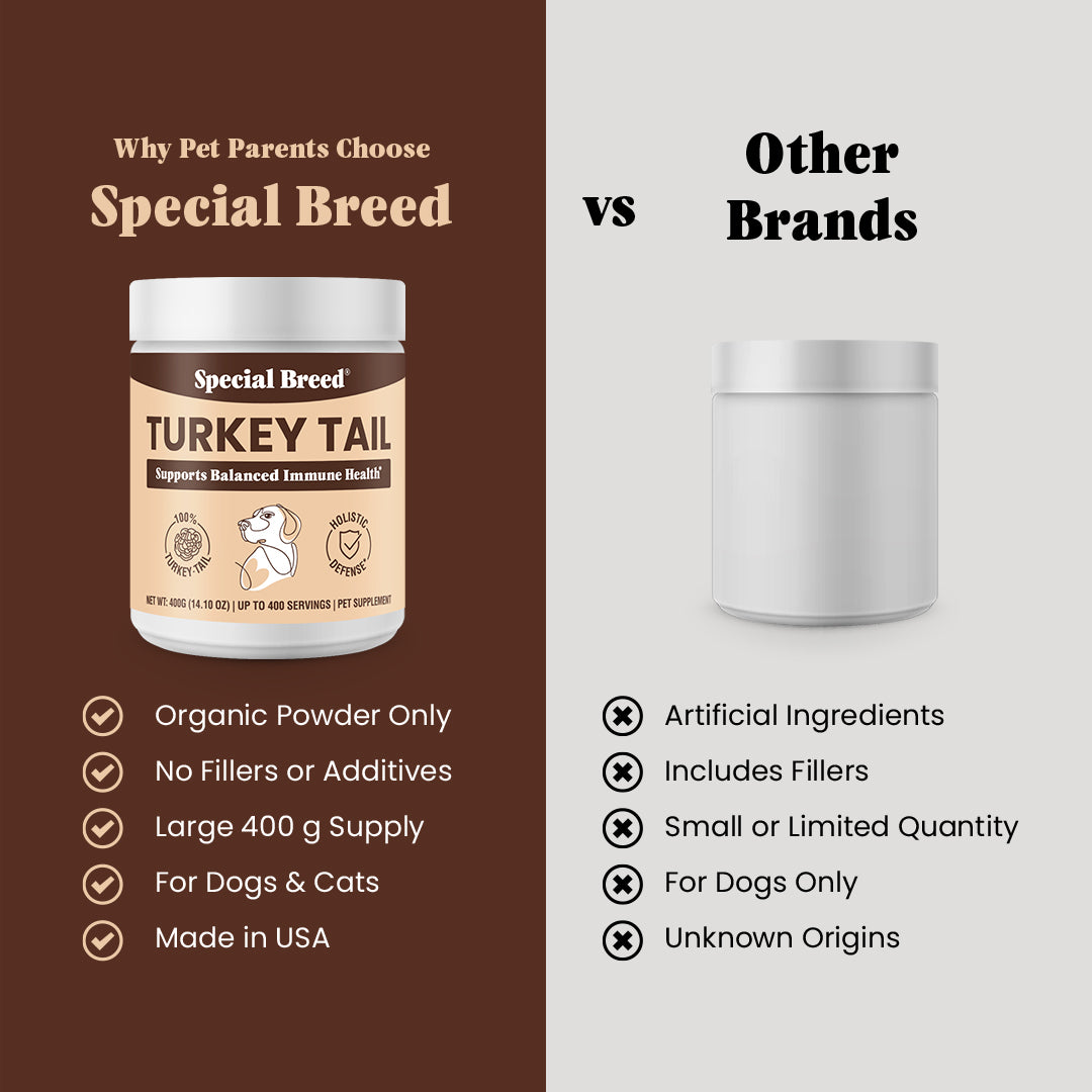 Organic Turkey Tail Powder - 14.10oz