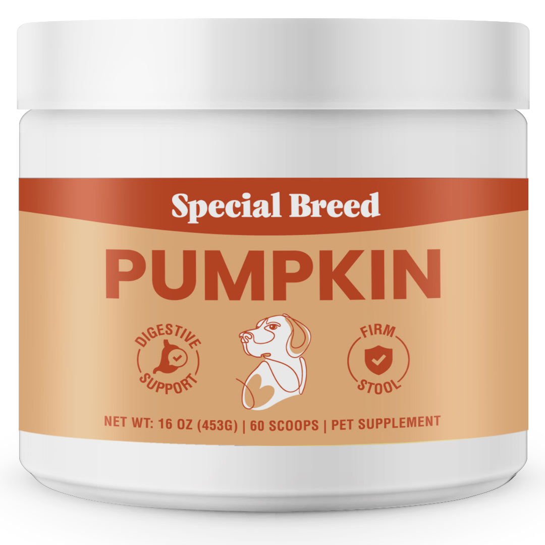 Organic Pumpkin Powder 16oz Powder