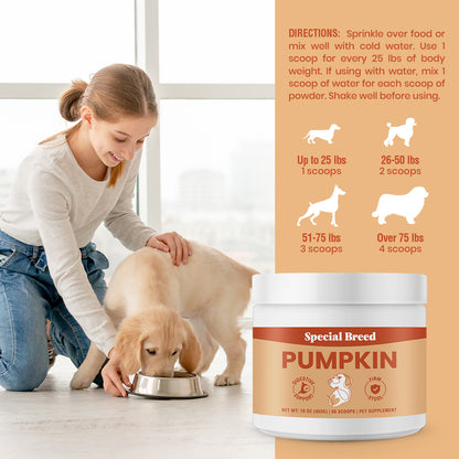 Organic Pumpkin Powder 16oz Powder