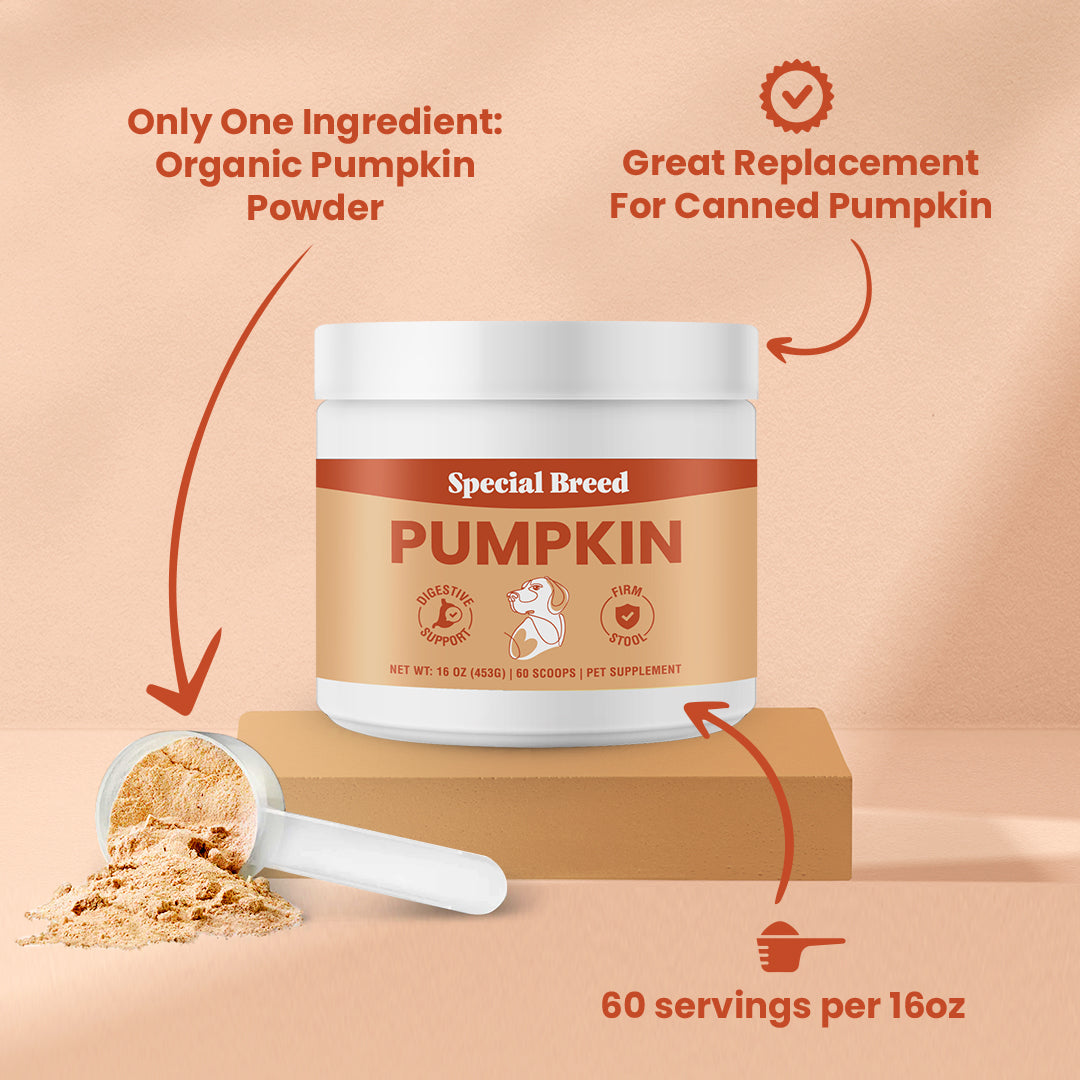 Organic Pumpkin Powder 16oz Powder