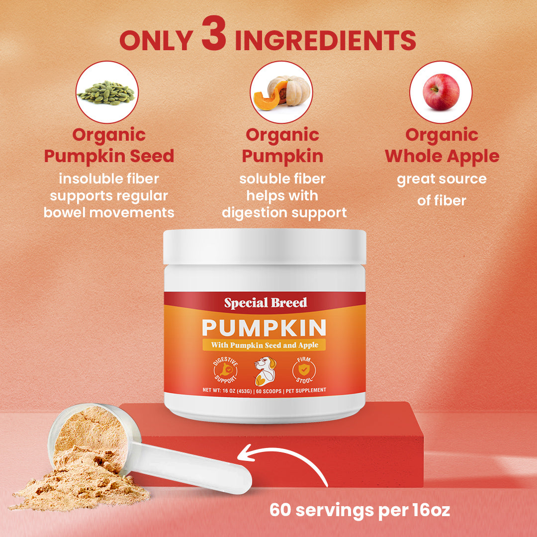 3-In-1 Organic Pumpkin, Pumpkin Seed, Apple 16oz Powder