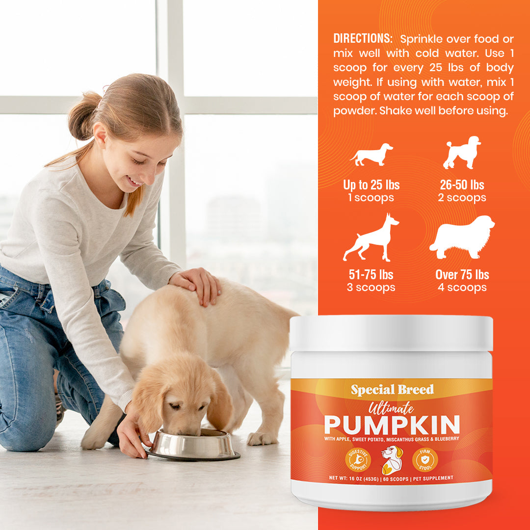 Ultimate Pumpkin 16oz