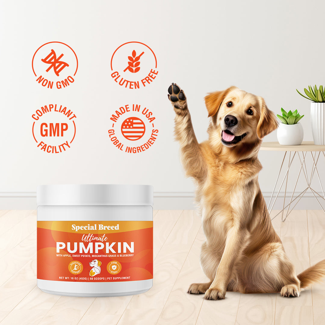 Ultimate Pumpkin 16oz