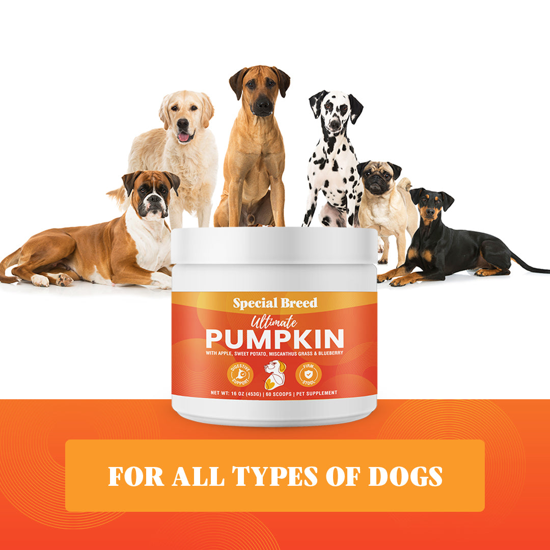 Ultimate Pumpkin 16oz