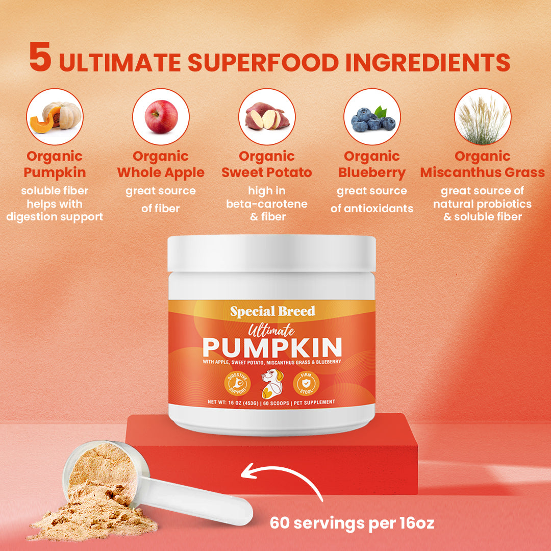Ultimate Pumpkin 16oz