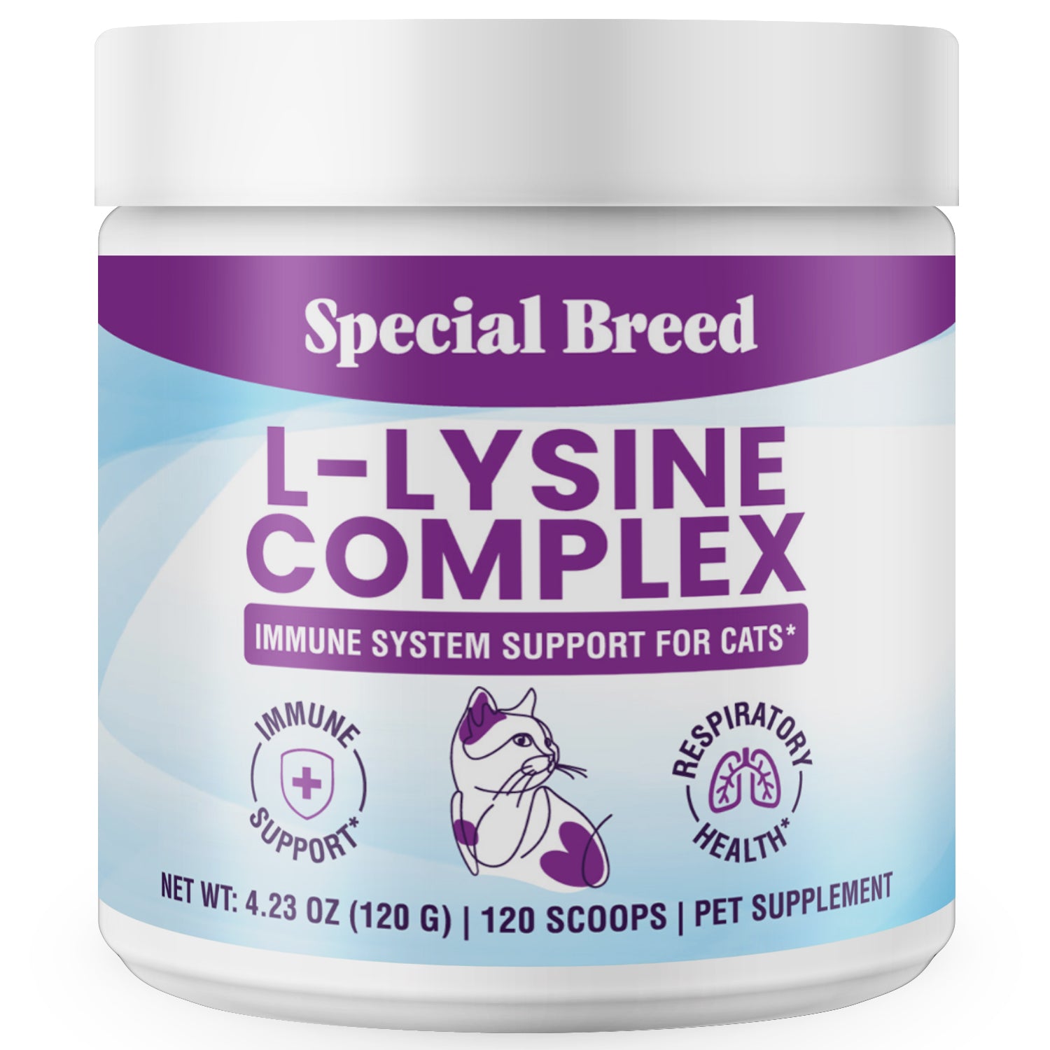 Lysine Powder
