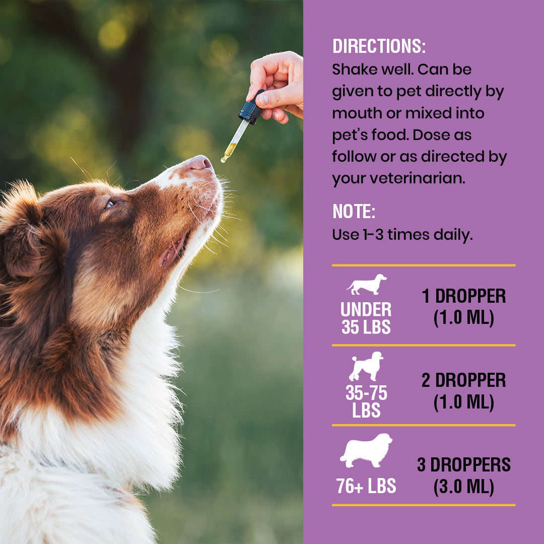Yeast Infection Treatment For Dogs - 8oz