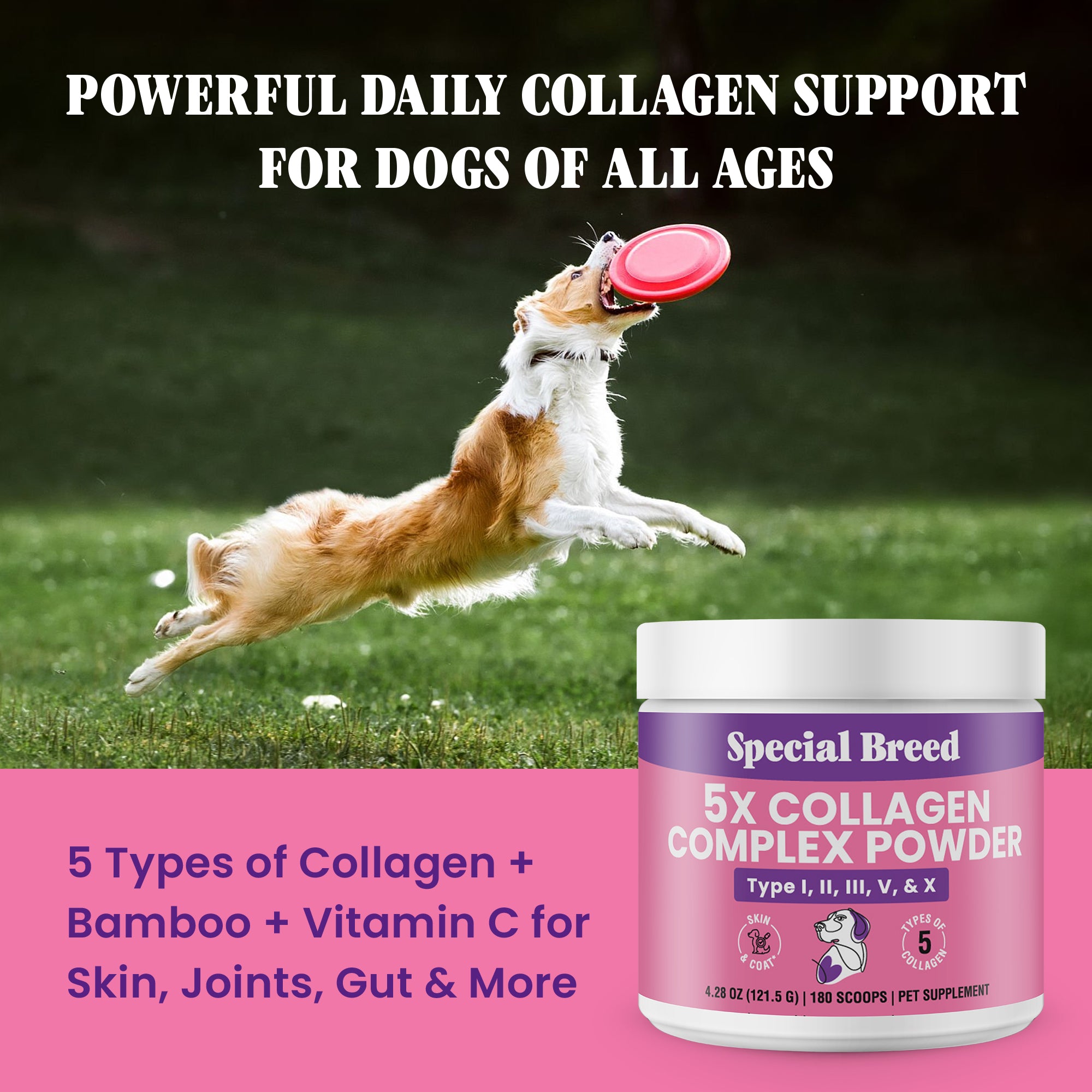 Collagen Powder