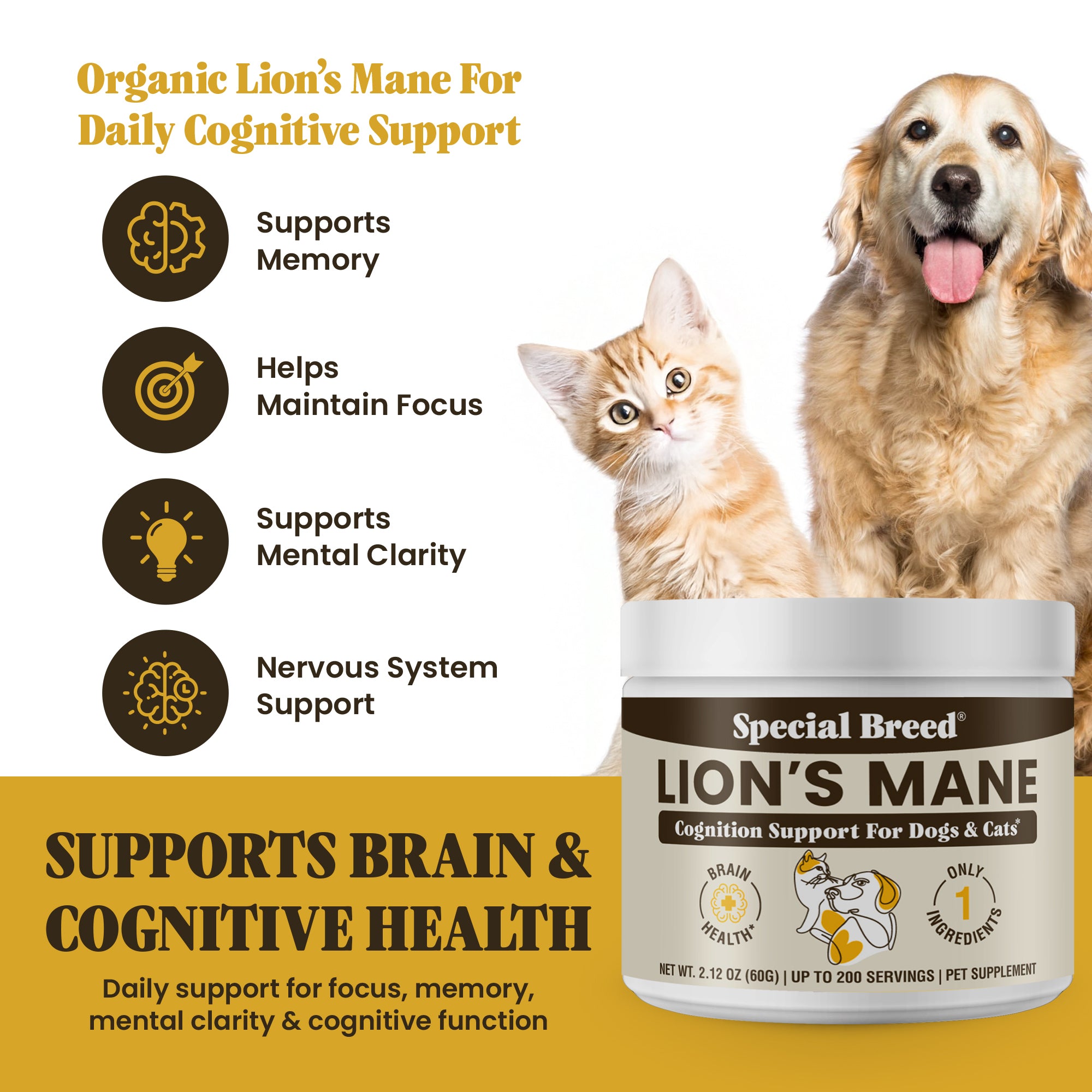 Lion's Mane Powder