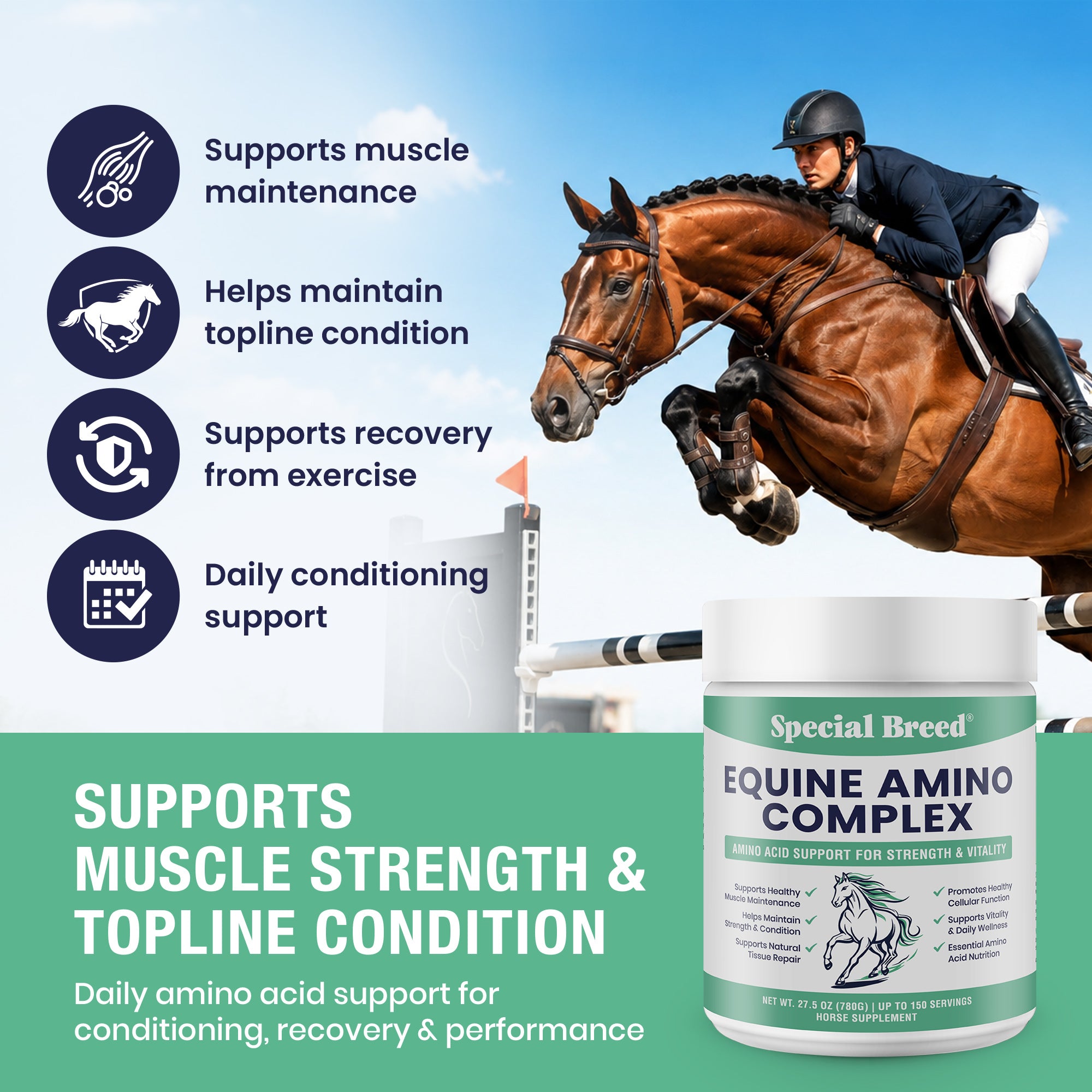 Horse Amino Acid Powder