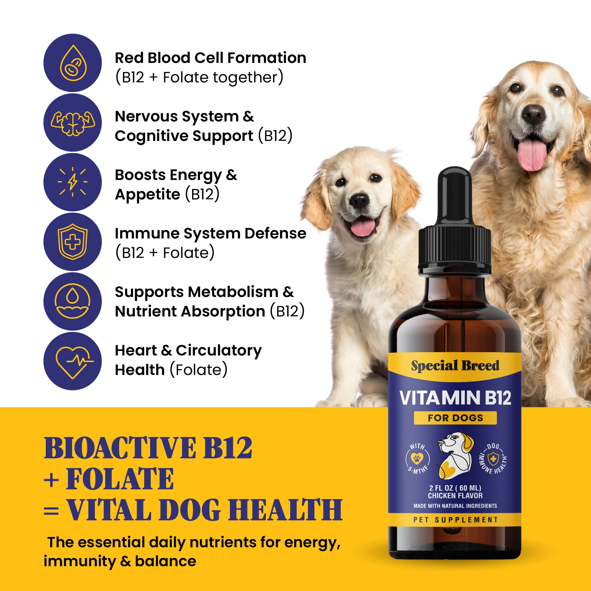Vitamin B12 For Dogs 2oz