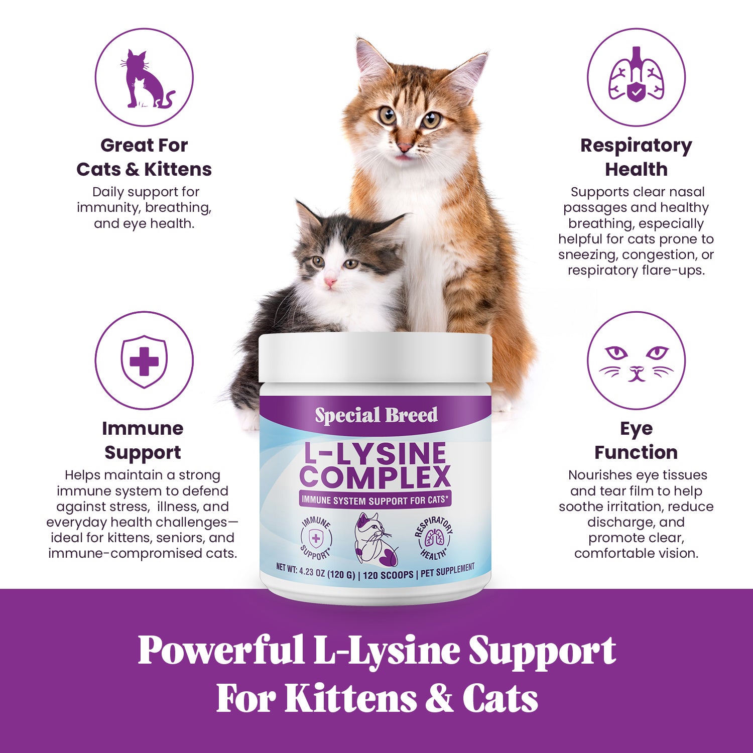 Lysine Complex Powder For Cats