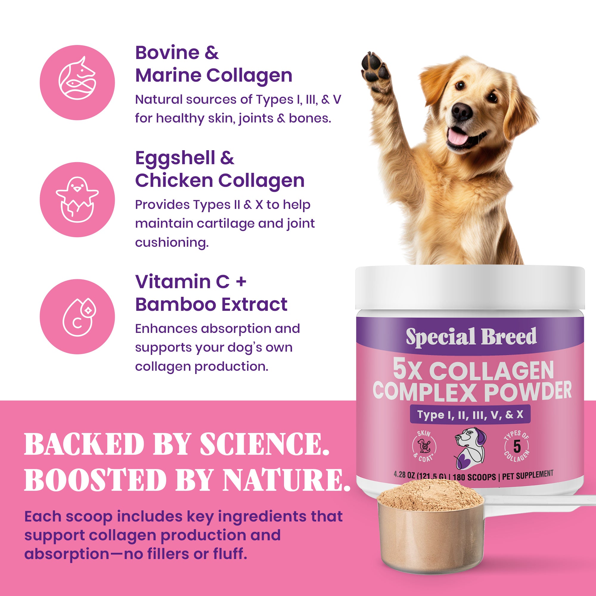 Collagen Powder