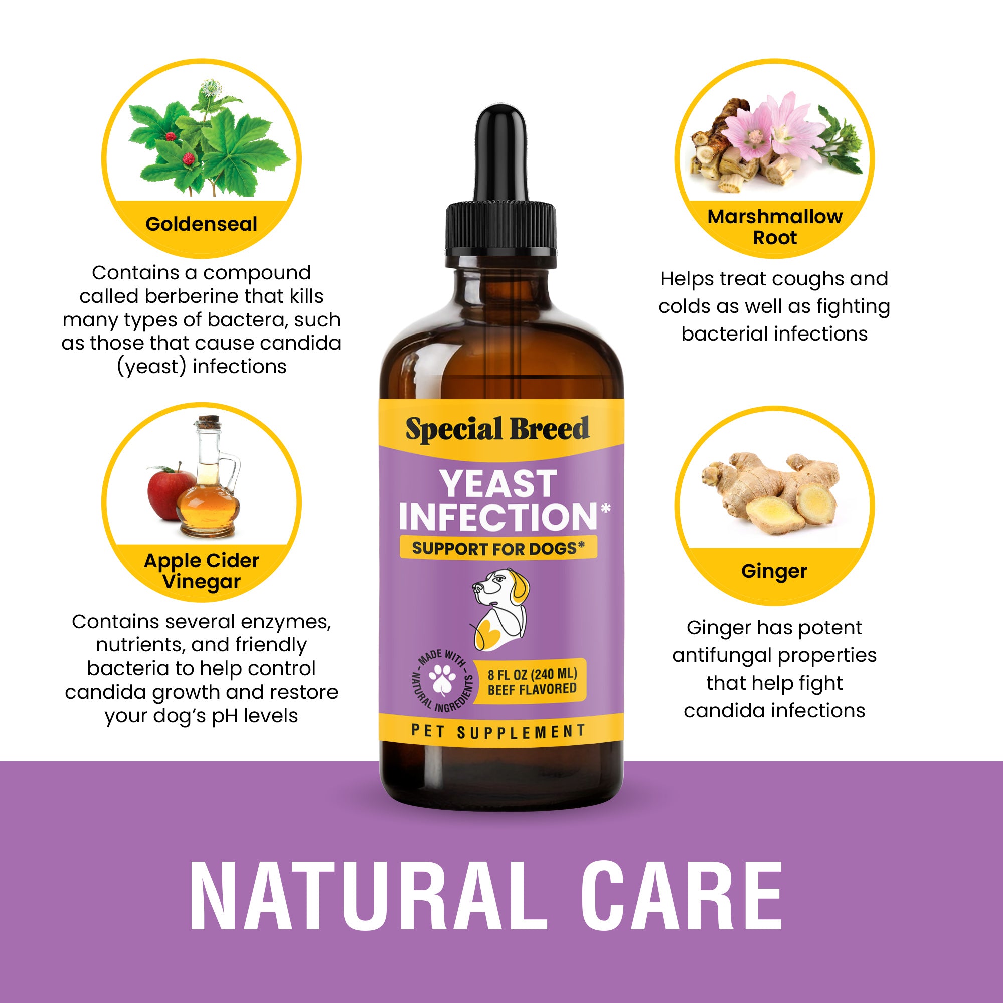 Yeast Infection Treatment For Dogs - 8oz