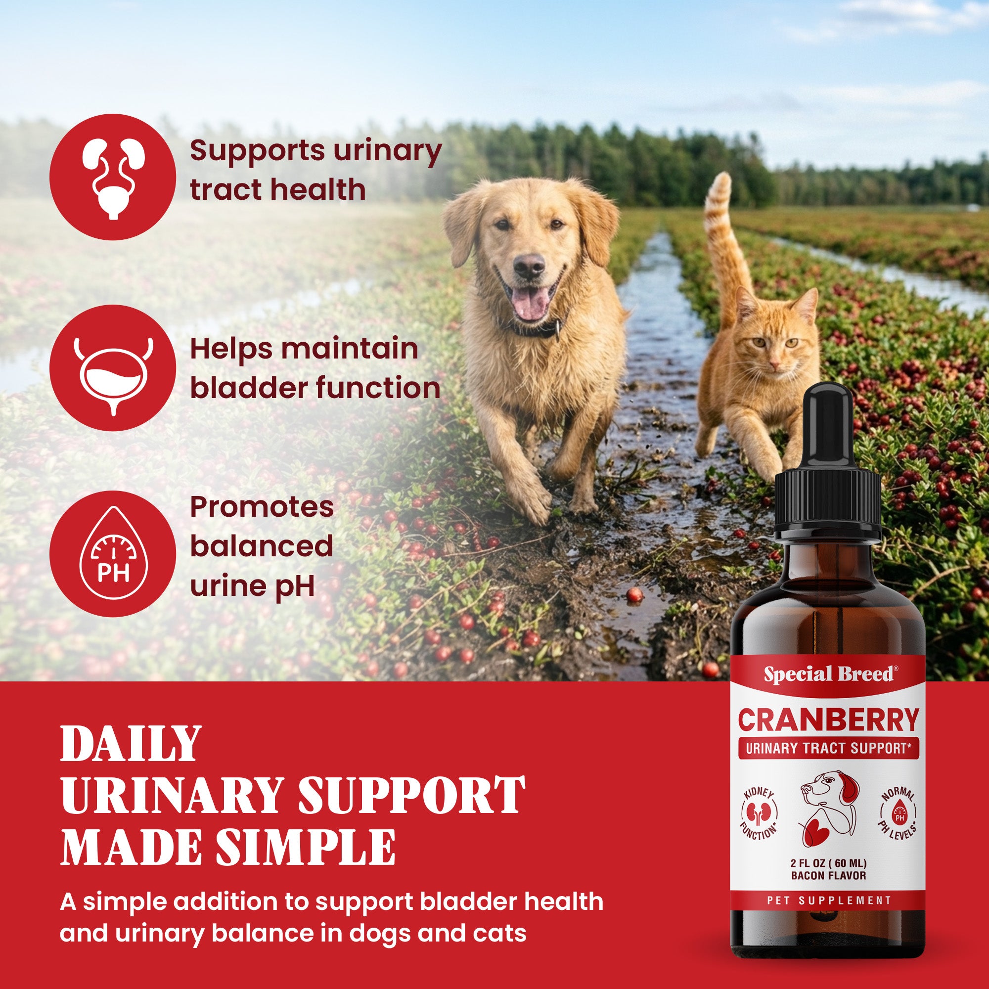 Cranberry 2oz