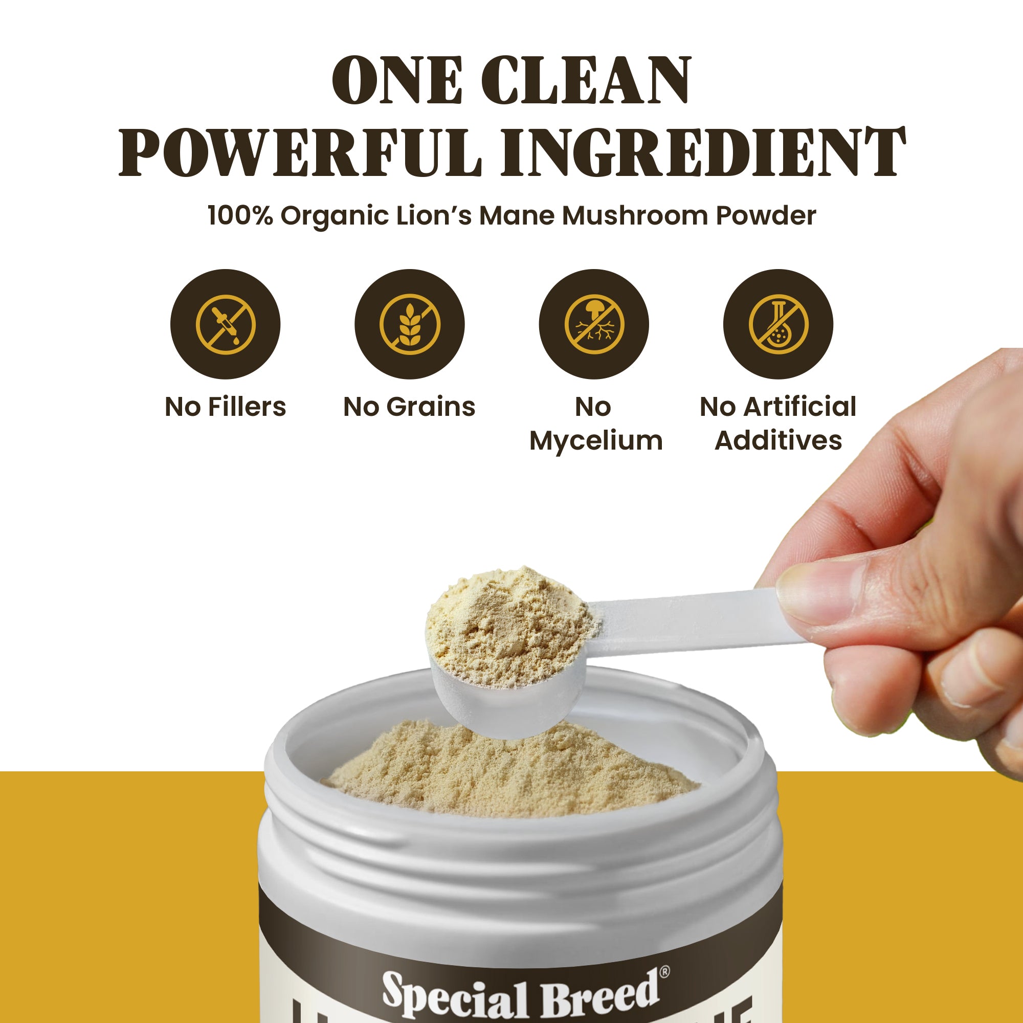 Lion's Mane Powder